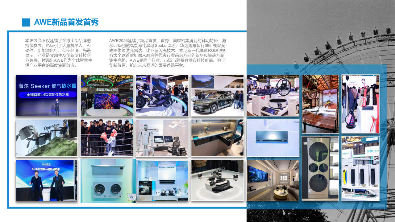 展后报告插图9