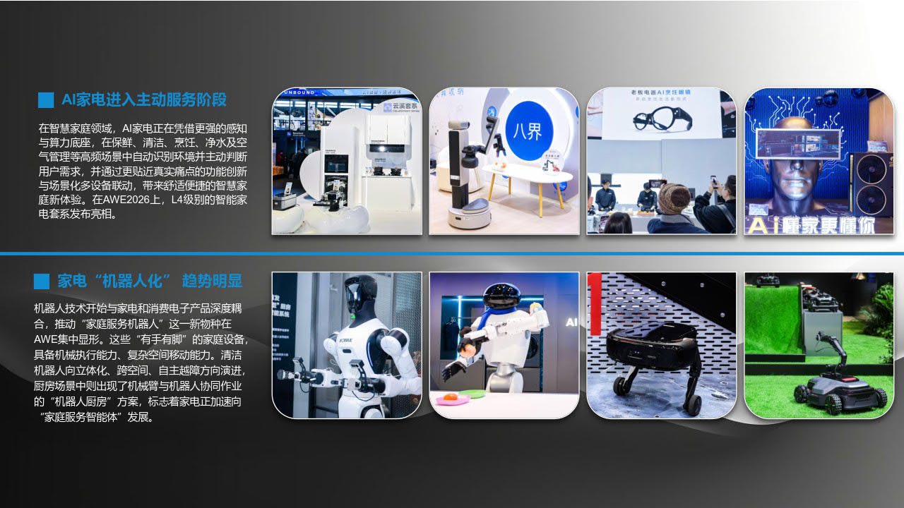 展后报告插图11