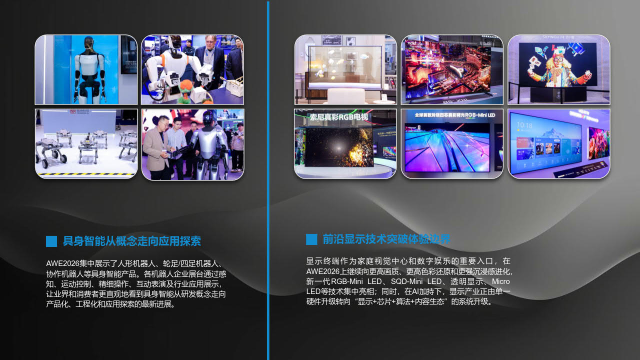 展后报告插图12