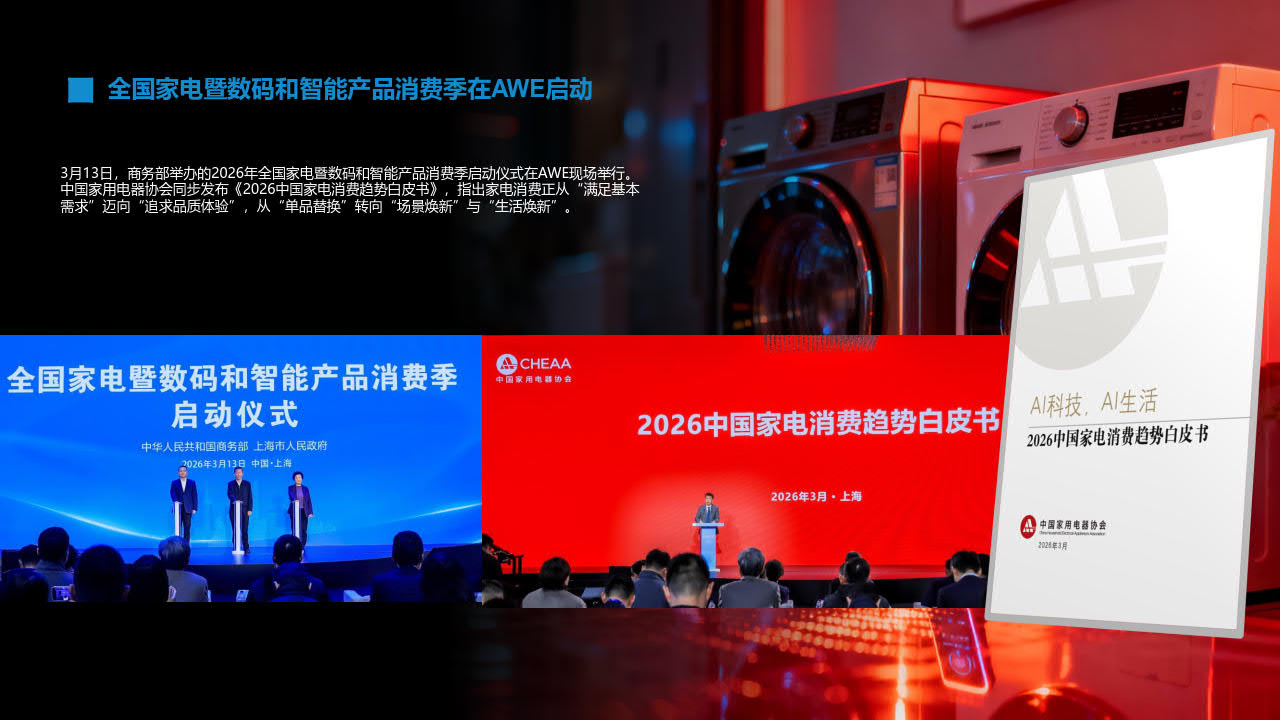 展后报告插图23